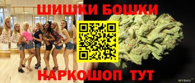 спиды Сланцы