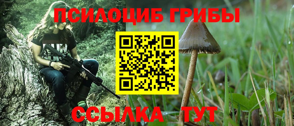 где найти   Вход с VPN  Батайск  Галлюциногенные грибы прущие грибы 
